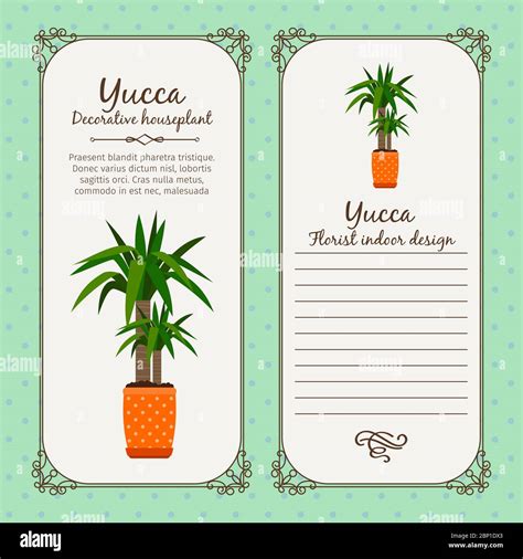 Vintage Label Template With Decorative Yucca Plant In Pot Vector