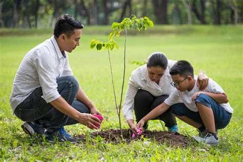 Qu Es La Educaci N Ambiental Concepto Y Objetivos Resumen