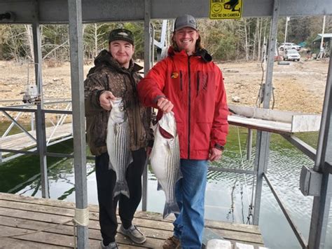 Beaver Lake Striped Bass Fishing Report Guided Striper