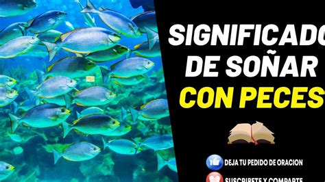 Qu Significa So Ar Con Peces En Agua Clara