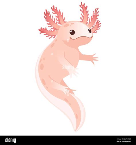 Cute Cartoon Axolotl Pink Color Amphibian Animal Vector Illustration