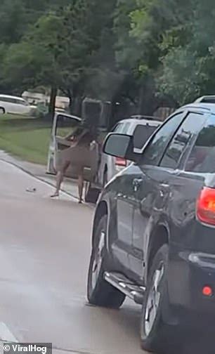 Bizarre Moment A Completely Naked Woman Gets Out Her Car During Road