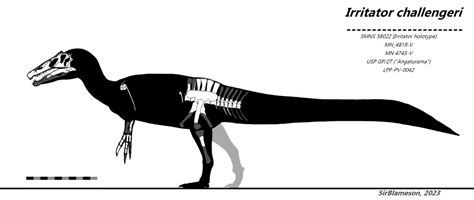 Irritator challengeri (Rigorous) Skeletal by SirBlameson on DeviantArt