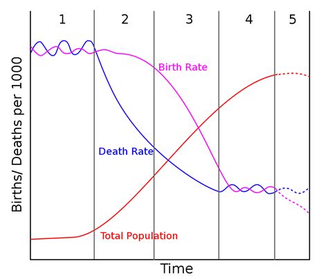 Demographic Transition Model