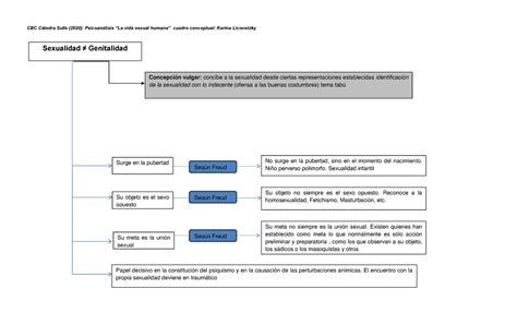 Cuadro Sinóptico Conferencia Xx La Vida Sexual Humana Cbc Cátedra