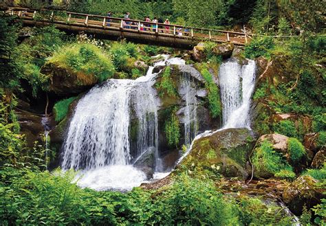 Viaje A La Selva Negra De Alemania