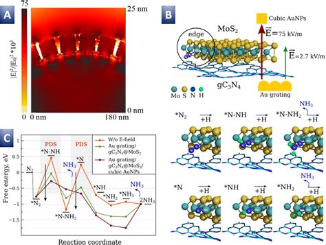 Enhanced Photoelectrochemical Nitrogen Reduction To Ammonia By A