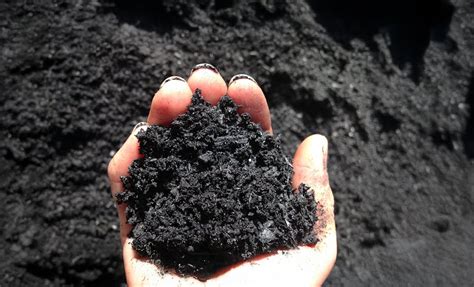 Biochar Rediscovering Ancient Wisdom For Modern Soil Health One Earth