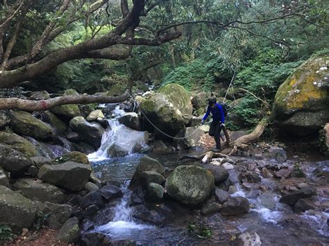 yangmingshan national park | taiwan trails and tales