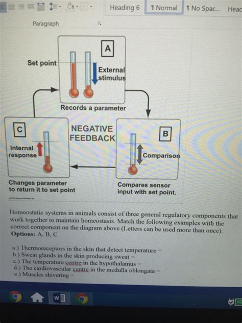 Solved mouth from blastopore anus from Many animals can be | Chegg.com