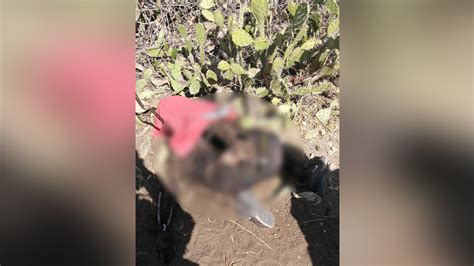 Cuerpo hallado en La Playa sería de un joven de 20 años