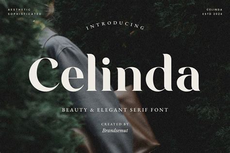 Celinda Font By Brandsemut Creative Fabrica