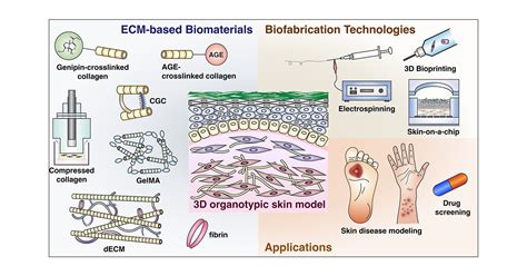 Advancements In Extracellular Matrix Based Biomaterials And