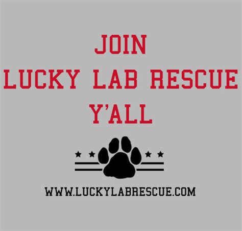 Lucky Lab Rescue Lone Star Edition Custom Ink Fundraising