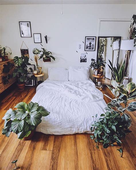 Plants Spark Joy On Instagram “plants Can Help You Sleep 💤 Better At