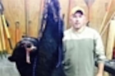 Man Kills 650 Pound Black Bear While Hunting In Fauquier County The Washington Post