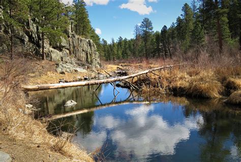 Spring Creek/ Centennial Flume Trailhead — Black Hills Hiking, Biking ...