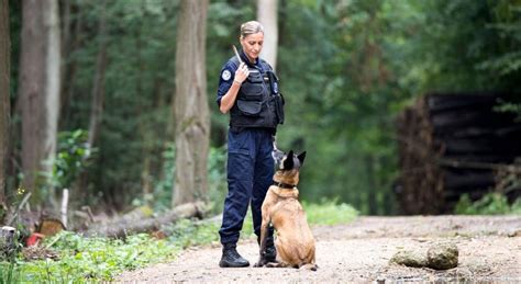 Devenir Gendarme Ma Tre De Chien