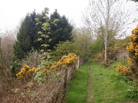 Luthrie To Ayton Path Richard Webb Cc By Sa 2 0 Geograph Britain