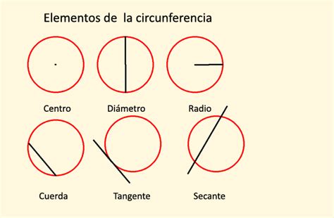 Cuales Son Los Elementos De La Circunferencia Por Favor Brainly Lat