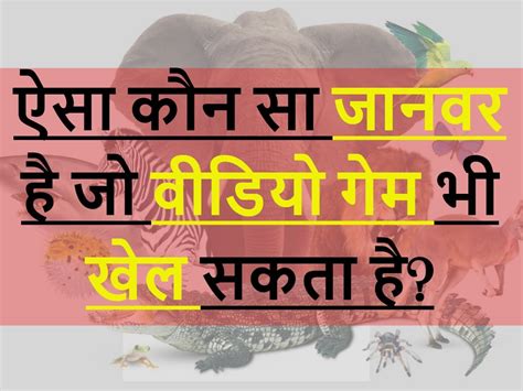 Gk Trending Quiz Which Animal Can Also Play Video Games Quiz ऐसा कौन