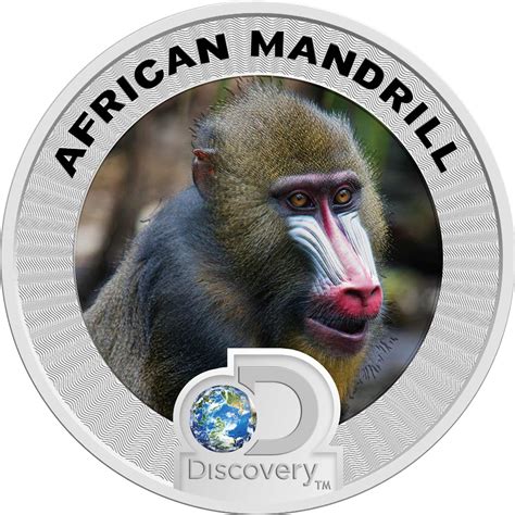 Discovery Channel and Gainesville launch new wildlife series of silver