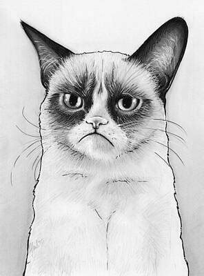 Funny Cat Drawing