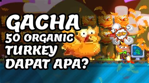 GACHA 50 ORGANIC TURKEY DAPAT APA ProfitGakSih Eps 37 Growtopia