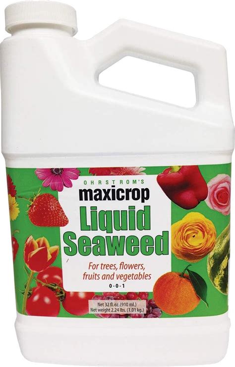 Amazon Maxicrop Original Liquid Seaweed 1 Gallon Packaging May