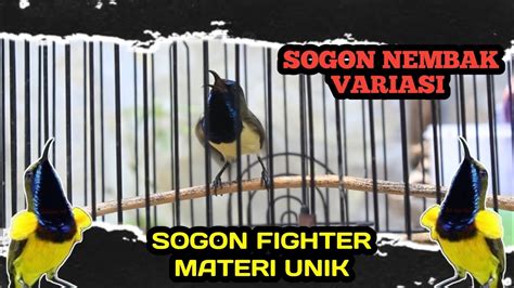 SOGON NEMBAK VARIASI MATERI UNIK BAGUS UNTUK MASTERAN SOGON BAHAN DAN