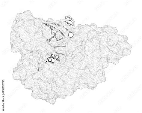 D Rendering As A Line Drawing Of A Biological Molecule Structure And