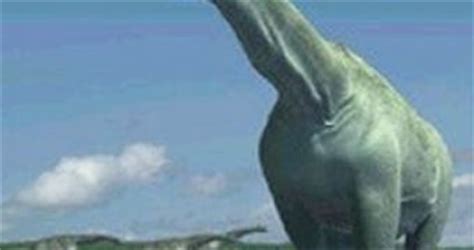 The Hugest Ever Dinosaur In Europe