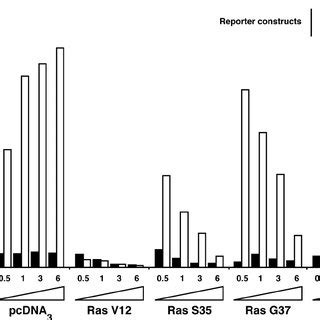 The Mitogenic Capacity Of Ras Effector Mutants Correlates With Their