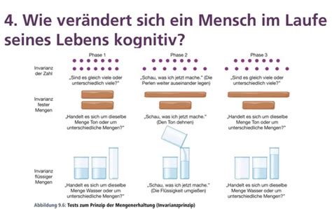 Unit Entwicklung Karteikarten Quizlet