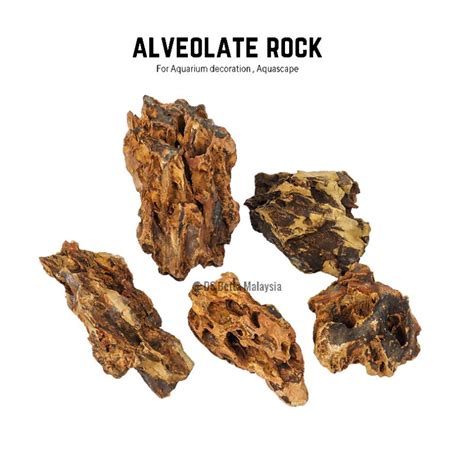 Aquascape Alveolate Rock Dragon Stone Decoration For Aquarium Batu