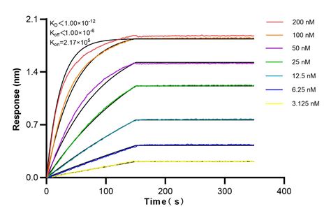 Atg Antibody Pbs Proteintech