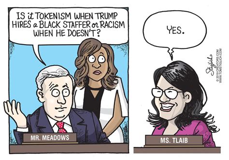 Political Cartoon U S Identity Politics Mark Meadows Rashida Tlaib