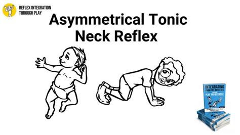 Benefits of the Asymmetrical Tonic Neck Reflex (ATNR) - Reflex ...