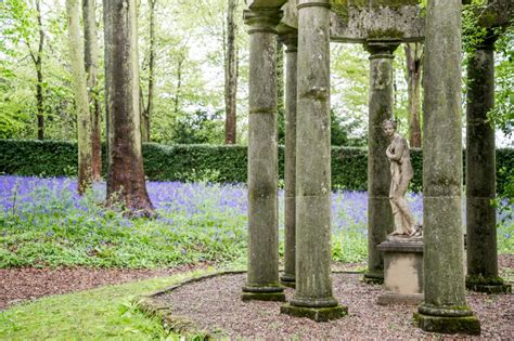 Best Walks For British Bluebells The English Garden