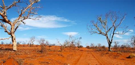 Great Victoria Desert - Nullarbor Expedition seat in vehicle ...