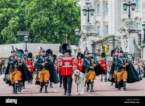 Irish Guard Mascot Hi Res Stock Photography And Images Alamy