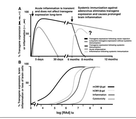 Time Course Of Inflammation And Dose Response Curves Of Gene Expression Download Scientific