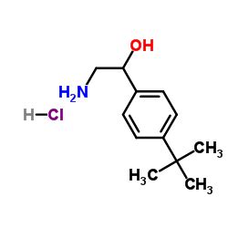 2 Amino 1 4 2 Methyl 2 Propanyl Phenyl Ethanol Hydrochloride 1 1