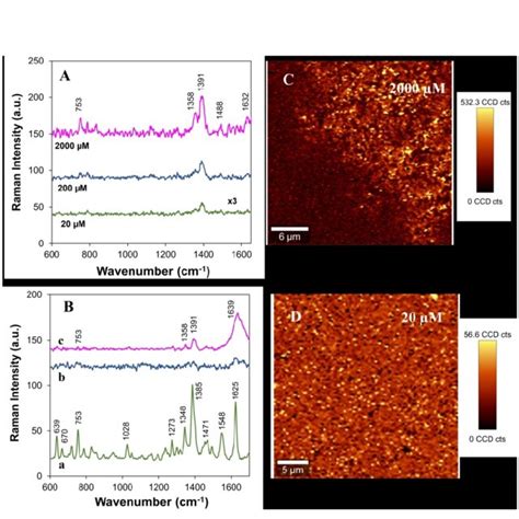 A Average Sers Spectra Of Ciprofloxacin At Variable Concentrations On