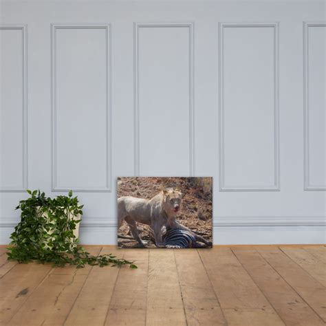 Lion Canvas Print | Wild World Prints