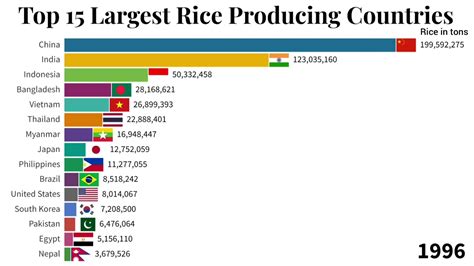 Top 15 Largest Rice Producing Countries 1960 2018 Data Is Magic Youtube