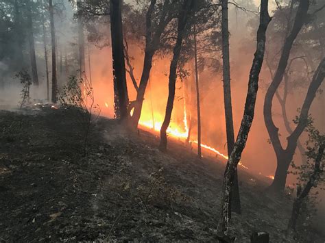 Mecandf Expert Engineers Calinferno The Delta Fire Burning In Shasta County Raged Out Of