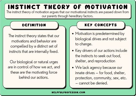 Instinct Theory Of Motivation Examples Definition 2024