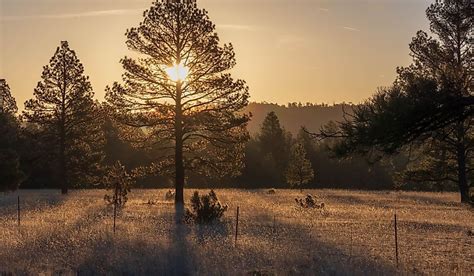 8 Least-Crowded Towns In Arizona To Catch Fall Foliage - WorldAtlas