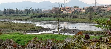 Humedal Tibabuyes Territorio Ecolog A Humana Y Salud Social